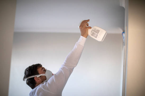 Best Mold Remediation  in Oxford, AL