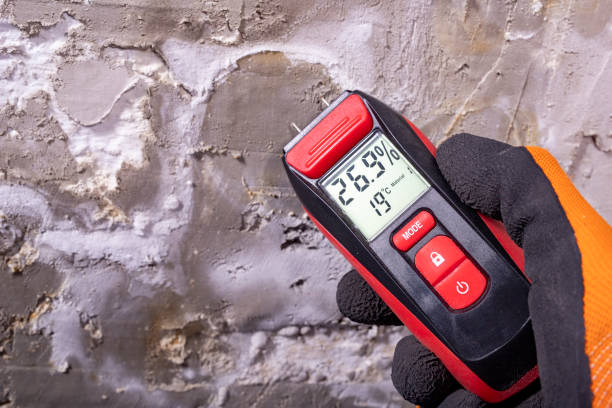 Best Mold Removal and Inspection  in Oxford, AL