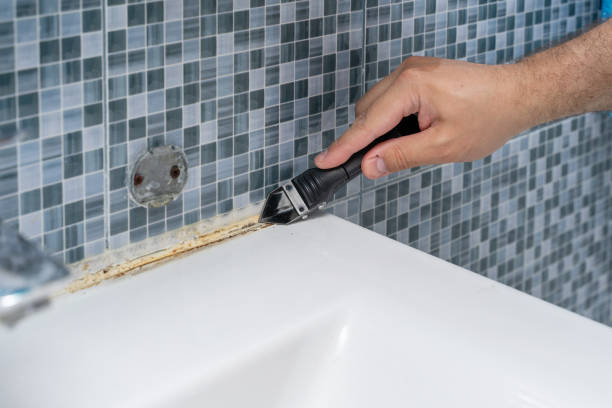 Best Professional Mold Removal  in Oxford, AL
